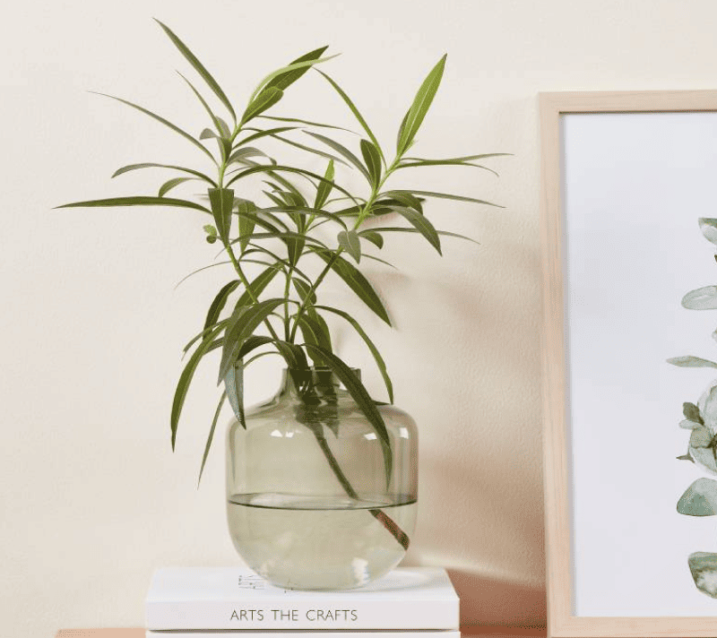 Ваза декоративная Сиранана зеленый 421234_2