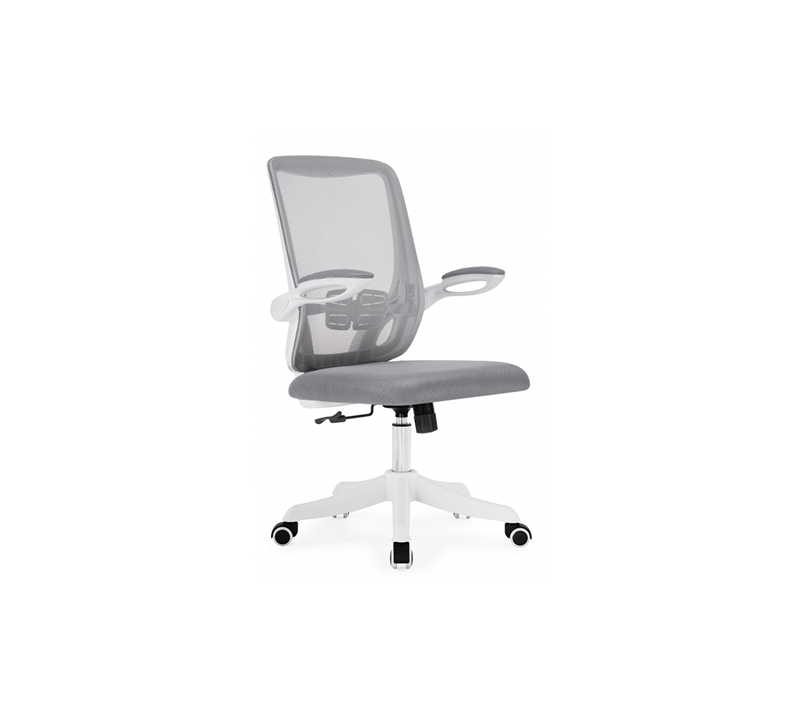 Компьютерное кресло Салем серый/белый_1