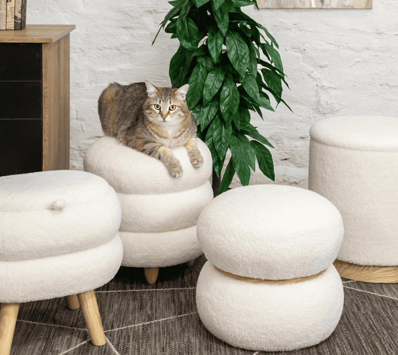 Пуф с ящиком Холли тедди белый L_2